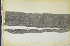 Plane Polarized, S35763