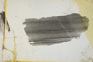 Plane Polarized, S35765