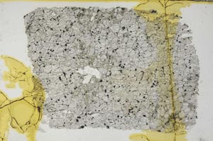 Plane Polarized, S35776