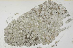 Plane Polarized, S35779
