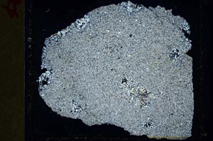 Cross Polarized, S35794