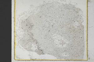 Plane Polarized, S35794