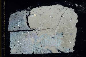 Cross Polarized, S35798