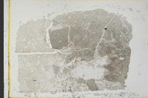 Plane Polarized, S35798