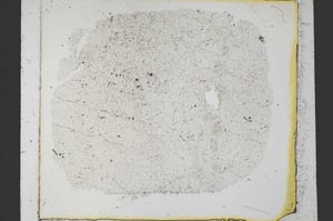 Plane Polarized, S35806