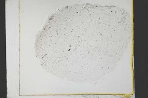 Plane Polarized, S35813