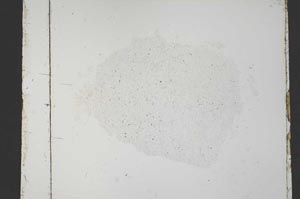 Plane Polarized, S35815