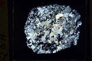 Cross Polarized, S35821