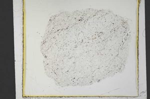 Plane Polarized, S35821