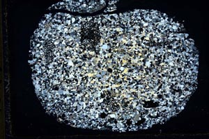 Cross Polarized, S35822