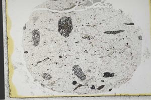 Plane Polarized, S35822