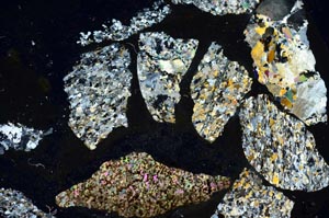 Cross Polarized, S35824