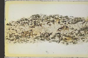 Plane Polarized, S35829