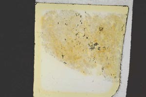 Plane Polarized, S35844