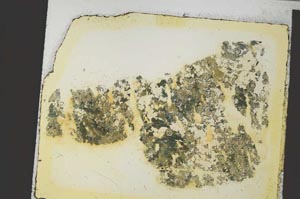 Plane Polarized, S35855
