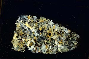 Cross Polarized, S35869