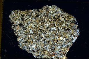 Cross Polarized, S35870