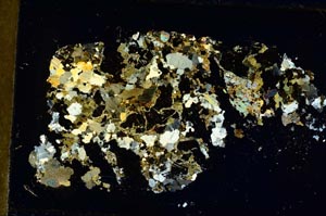 Cross Polarized, S35872