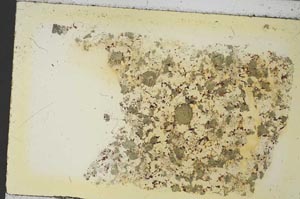 Plane Polarized, S35873