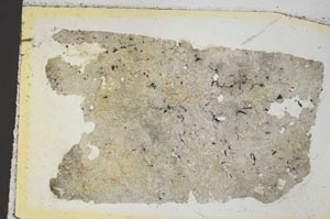 Plane Polarized, S35874