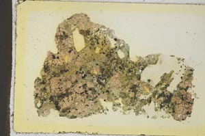 Plane Polarized, S35875