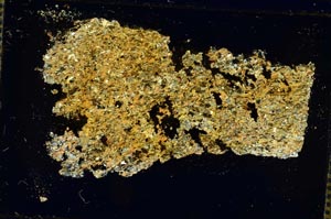 Cross Polarized, S35876