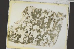 Plane Polarized, S35879