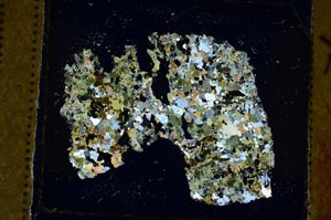 Cross Polarized, S35880