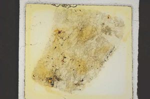 Plane Polarized, S35887