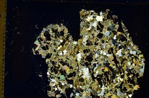 Cross Polarized, S35888