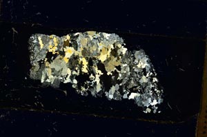 Cross Polarized, S35889