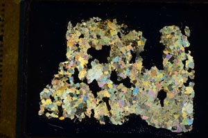 Cross Polarized, S35890