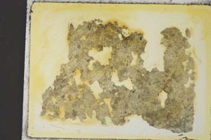 Plane Polarized, S35890