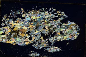 Cross Polarized, S35891