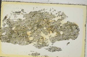 Plane Polarized, S35891