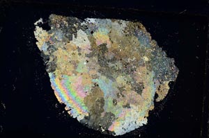 Cross Polarized, S35892