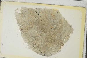 Plane Polarized, S35892