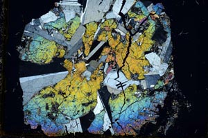 Cross Polarized, S35913