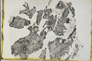 Plane Polarized, S35913