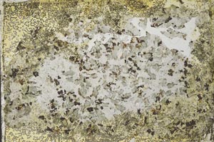Plane Polarized, S35921