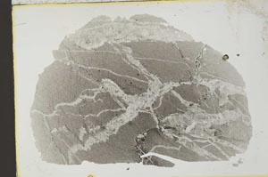 Plane Polarized, S35932