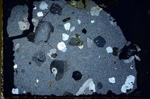 Cross Polarized, S35935