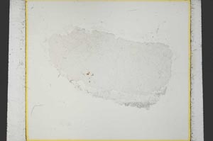 Plane Polarized, S35955