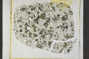 Plane Polarized, S35961