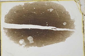 Plane Polarized, S35981