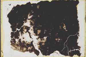Plane Polarized, S35982