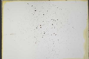 Plane Polarized, S35985/B