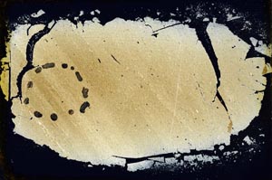 Cross Polarized, S35986