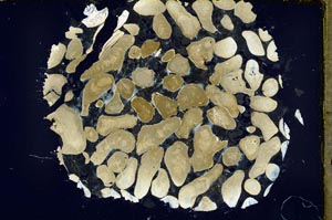 Cross Polarized, S35987