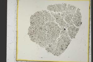 Plane Polarized, S35999